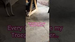 This Happens Every Time I Use My Traeger Smoker traeger pets adogslife [upl. by Jonis497]