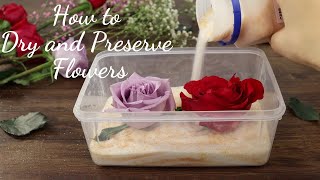 How to Dry and Preserve Flowers  DIY Dried Flower in Resin Art [upl. by Htirehc]