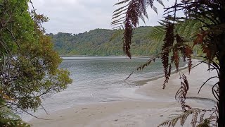 Ep31 Stewart Island Adventure Series Part 1 Bluff Oysters Bluecod Trumpeter [upl. by Drofkcor]