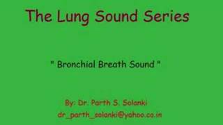 Breath Sound  Bronchial vs Vesicular [upl. by Ifen]