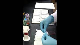 How to make a Cytology Smear [upl. by Cassidy702]