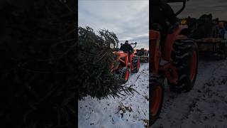 Fun w kids on an Old fashioned christmas hay ride out to the tree farm christmasonthefarm hayride [upl. by Hedaza422]