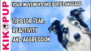 Tips for dog trainers working with fear reactivity and aggression [upl. by Adaha]