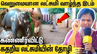 உருகவைக்கும் லட்சுமி யானைக்கும் பெண்ணுக்குமான நட்பு  Pondicherry Lakshmi Elephants Place [upl. by Young665]