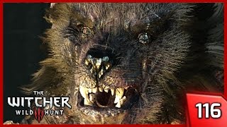 The Witcher 3 ► Morkvargs Curse  Story amp Gameplay 116 PC [upl. by Savior]