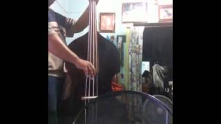 Historias de danzón y de arrabal cover contra bass [upl. by Ahsinirt]