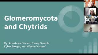 Glomeromycota and Chytrids [upl. by Wyndham]