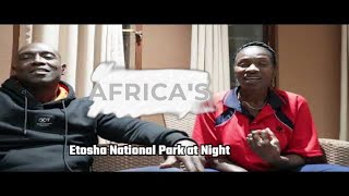 Experience the Magic of Etosha National Park at Night Part 1 [upl. by Cerveny]