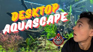 Easy CO2 injection on a Stunning Planted Desktop Aquarium [upl. by Simon279]