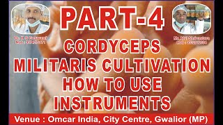 cpordycepsmilitaris Cordycepscordycep  mushroom cultivation cordiceps  business home [upl. by Biggs]