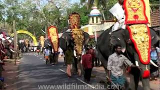 Bejewelled elephants and mahouts [upl. by Hanah774]