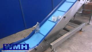 WMH Swan Neck Incline Conveyor [upl. by Aimak]