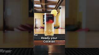 Special cocktail 😱 gin with red wine cocktail shorts redbull gin redwine bartender trending [upl. by Eggett]