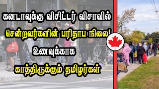 கனடாவுக்கு விசிட்டர் விசாவில் சென்றவர்களின் பரிதாப நிலை உணவுக்காக காத்திருக்கும் தமிழர்கள் [upl. by Durham]