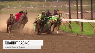 Video Chariot racing [upl. by Horvitz]