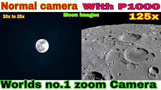 Nikon P1000 first look and zoom test [upl. by Anayt654]