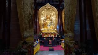 大金佛  Big Gold Buddha china guangdong guangzhou travel trip 旅行 buddha temple reels shorts [upl. by Ahsitam866]