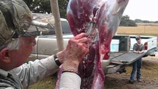 How to Butcher a Deer Fast  LIVEOAK FORKS Ranch Hondo TX [upl. by Akiraa21]