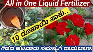 Organic Liquid Fertilizerಹೂವು ಆಗದ ಗಿಡಗಳಲ್ಲಿ ಗೊಂಚಲು ಗೊಂಚಲು ಹೂವು ಮೊಗ್ಗು ಉದುರುವ ಸಮಸ್ಯೆಗೆ ಒಳ್ಳೆ ಉಪಾಯ [upl. by Barber]