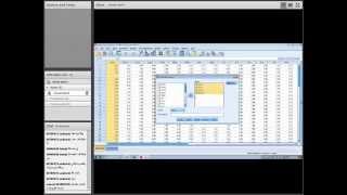 Principles of SPSS Cronbach Alpha [upl. by Sadnalor]