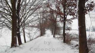 Capercaillie  Calums Road [upl. by Yrrehc]