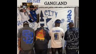 LOS ANGELES GANGS HARBOR CITY CRIPS harbor city California [upl. by Rianon974]