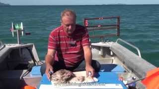 Snapper Longline Fishing Methods [upl. by Bruni]