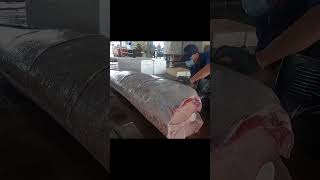 600 pounds giant blue marlin cutting skills giant marlin [upl. by Ylecic]