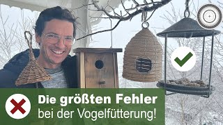 KEIN Vogel am Vogelhaus  WAS ist da los So fütterst du richtig und hilft damit vielen Vögeln [upl. by Peppard]