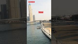 Habibi Come To Dubai  This Is Dubai  Beautiful Country UAE dubailife youtubeshort shortvideo [upl. by Fortunato]