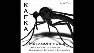 The Metamorphosis by Franz Kafka Free Audio Book in English Language [upl. by Aserahs]