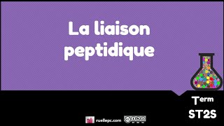 liaisonpeptidique [upl. by Gibe]