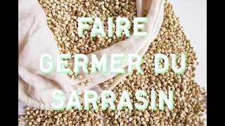 Faire germer du sarrasin en quantité [upl. by Giulia]