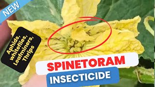 Spinetoram BroadSpectrum Insecticide for Effective Pest Control in Vegetables Fruits and Crops [upl. by Muna675]