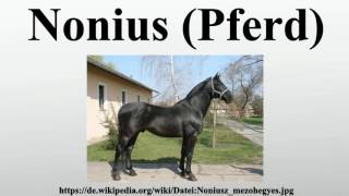 Nonius Pferd [upl. by Maryellen]