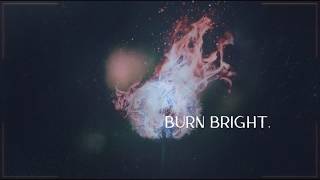 Forest Blakk  WILDFIRE Official Lyric Video [upl. by Ashti]