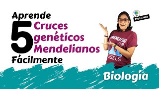 5 ejercicios de genética mendeliana 📚🧬 [upl. by Norrat]