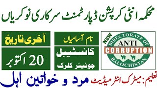 Anti cruption department Punjab jobs 2024 Balochistan jobs 2024 [upl. by Nnaacissej700]