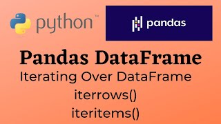 PT6  Iterating Over DataFrame  Iterrows iteritems  Class 12 Informatics Practices [upl. by Manning139]