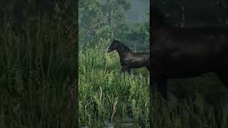 RDR2 • Dark Bay Shire Horse • Red Dead Redemption 2 [upl. by Seiber]