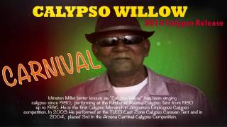 CALYPSO WILLOW  CARNIVAL 2014 Trinidad Calypso  BRAND NEW RELEASE [upl. by Eanram]