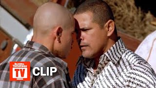 Breaking Bad  Dealing With Tuco Scene S1E7  Rotten Tomatoes TV [upl. by Adnawt]