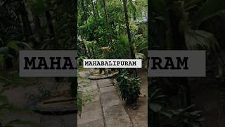 Mahabalipuram Vlog travel travelblog food [upl. by Lenuahs]