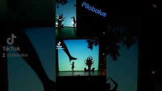 Microdose Pilobolus from Shadowland onstage overlay finale [upl. by Morgun664]