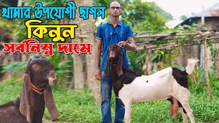 শহিদুল ভাইয়ের নিউ কালেকশন। [upl. by Wind]