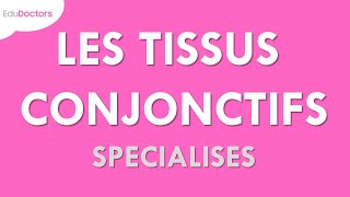 Les tissus conjonctifs spécialisés  Histologie [upl. by Aluap]