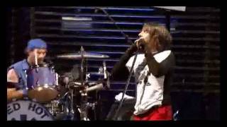 Red Hot Chili peppers Live at Slane Castle Full Concert [upl. by Weitzman]