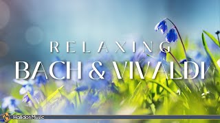 Bach and Vivaldi  Classical Music for Relaxation [upl. by Fillbert]