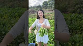 Today I went to the vegetable garden to pick vegetables againfarm farmlife village [upl. by Fai529]