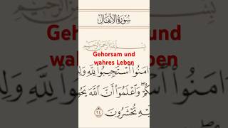 Gehorsam und wahres Leben [upl. by Rawden]